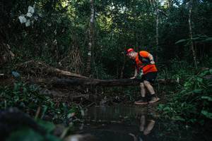 BIB: 
                            <button type="button" onclick="openModal(22462868)" class="btn btn-primary btn-sm float-right btn-popup" data-toggle="modal" data-target=".modal-high-quality">
                        <i class="fas fa-shopping-cart"></i> Add to Cart
                    </button>
                                            <button type="button" onclick="isThisMe(22462868, true)" class="btn btn-success btn-sm float-right btn-popup btn-isme hidden" data-toggle="tooltip" data-placement="bottom" title="นี่คือรูปของคุณใช่ไหม คลิกที่นี่เพื่อเอาเข้าอัลบั้ม">
                        <i class="fas fa-plus"></i> Add to album
                    </button>
                    <button type="button" onclick="isThisMe(22462868, false)" class="btn btn-warning btn-sm float-right btn-popup btn-isnotme hidden">
                        <i class="fas fa-ban"></i> Remove from album
                    </button>